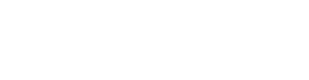 Finureo AI